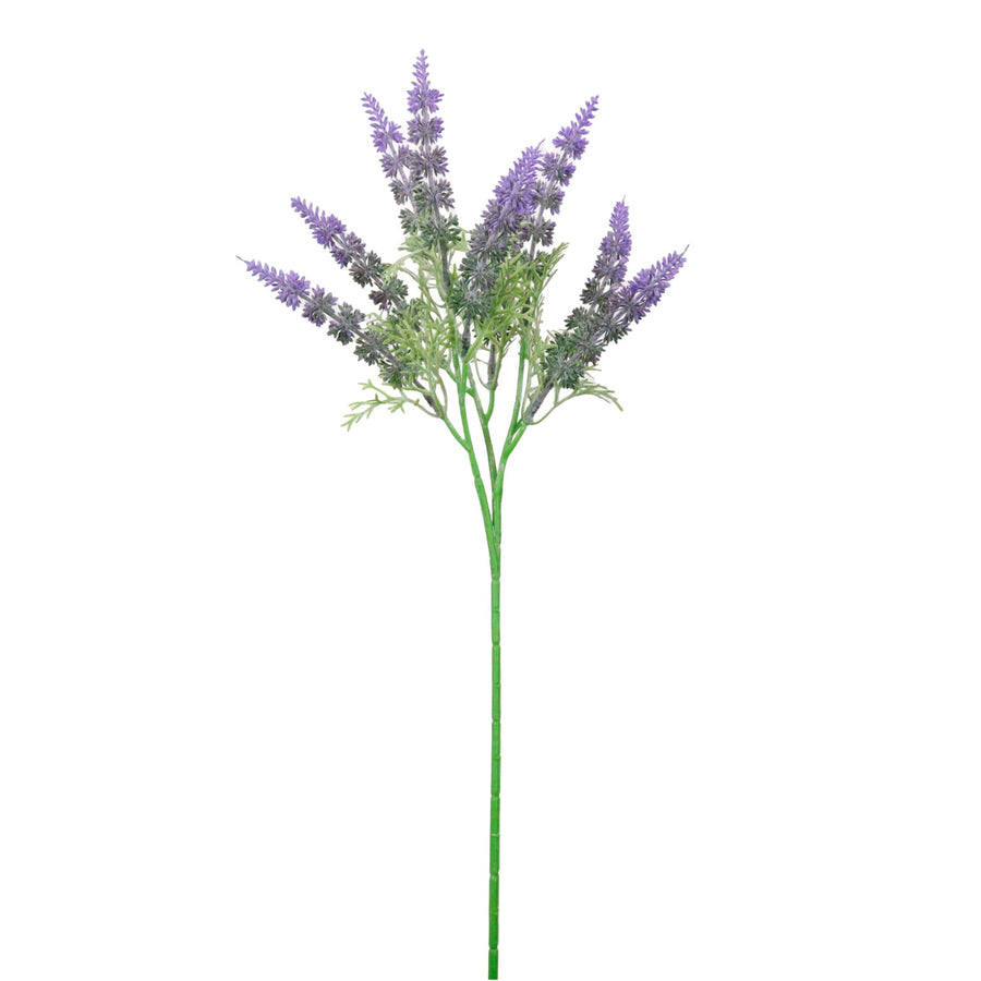 Spikey Lavender Spray