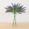 Spikey Lavender Spray