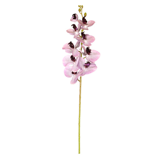 9 Head Orchid Stem
