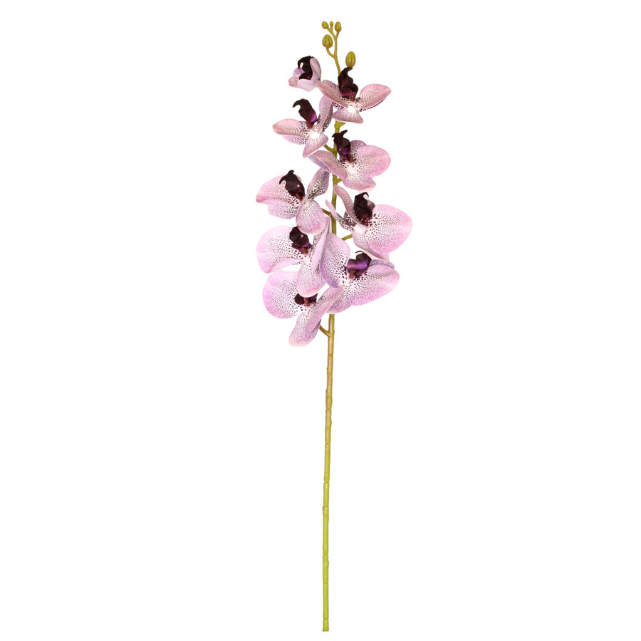 9 Head Orchid Stem