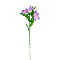 Speckled Alstroemeria Stem