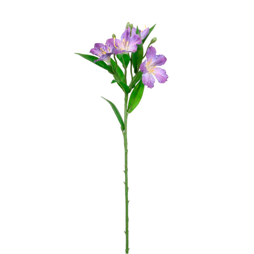 Speckled Alstroemeria Stem