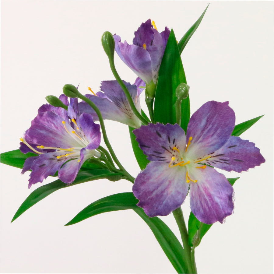 Speckled Alstroemeria Stem