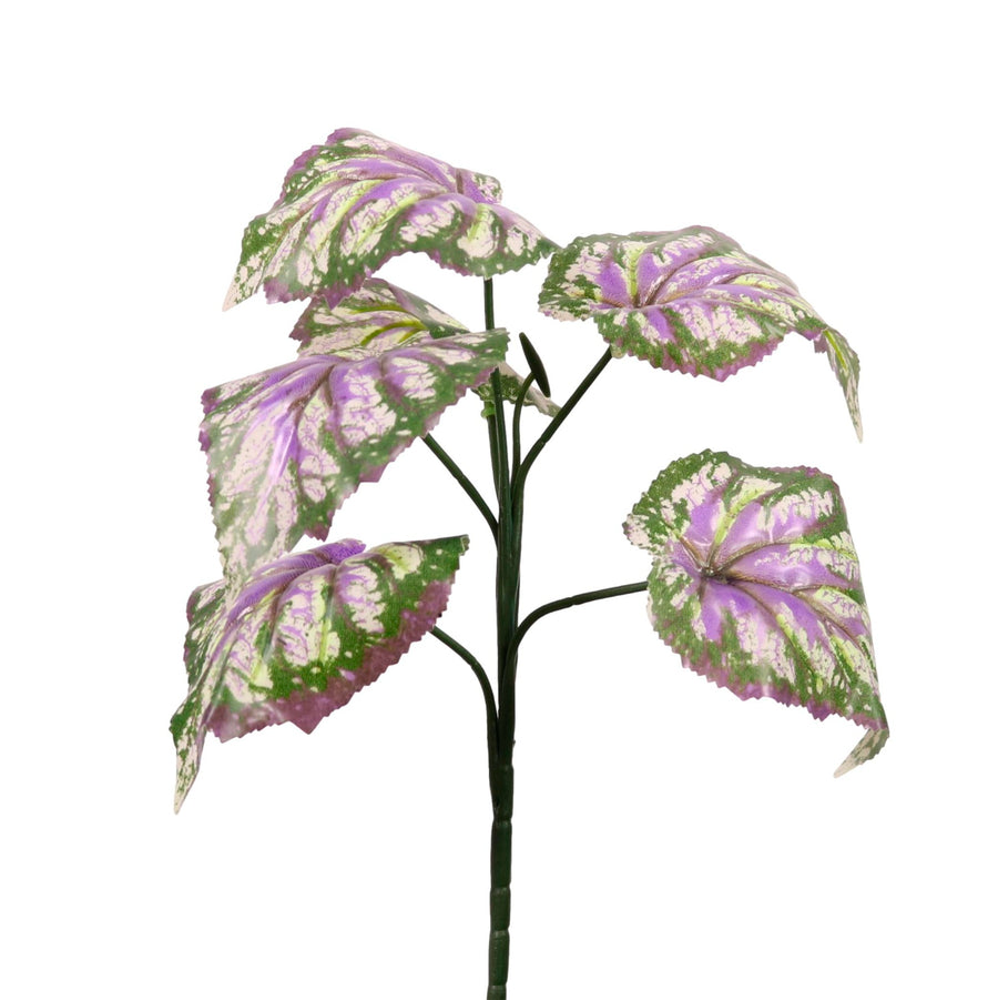 Medium Begonia Leaf Bunch Purple/Green