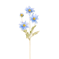 Chrysanthemum Japonense Spray