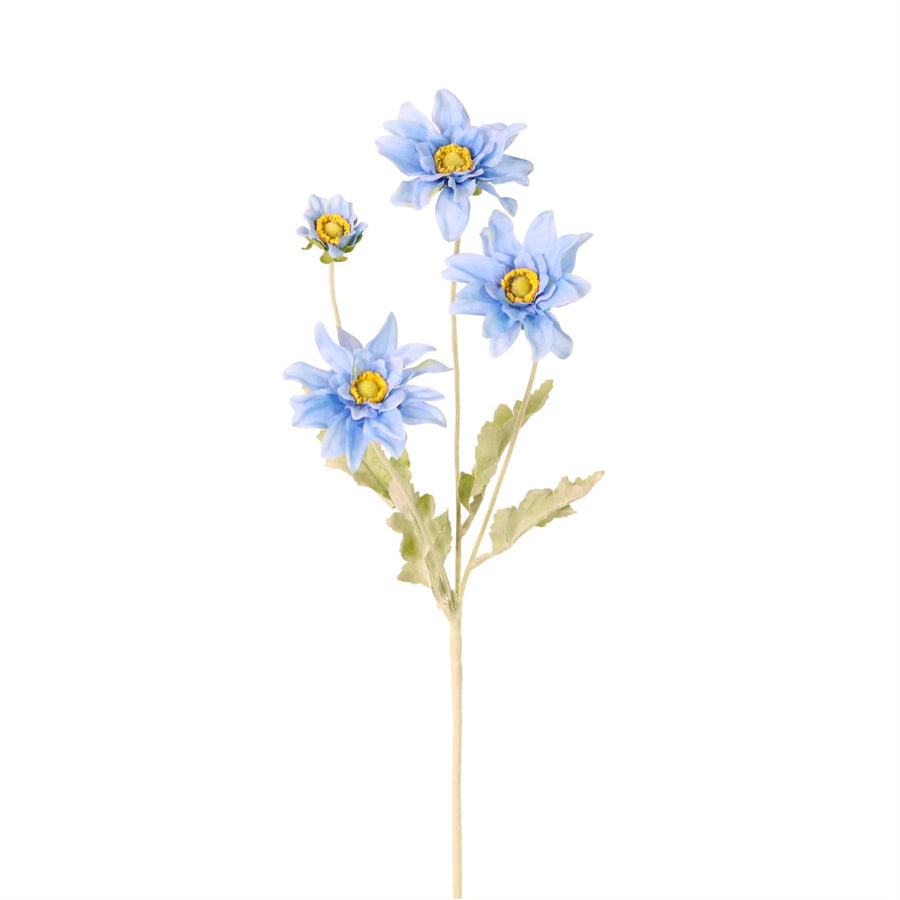 Chrysanthemum Japonense Spray