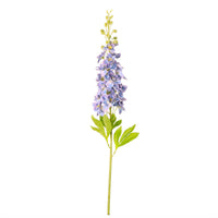 Delphinium (Large)