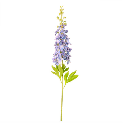 Delphinium (Large)