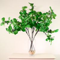 Carissa Berry Leaf Spray