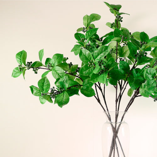 Carissa Berry Leaf Spray