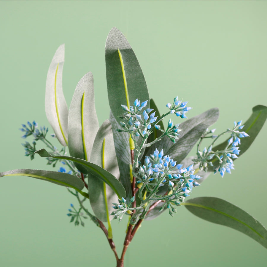 Wild Eucalyptus Nicholii Pic
