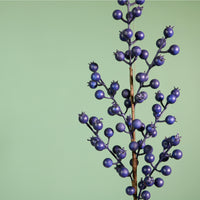 Seasonal Hawthorn Berry Pic