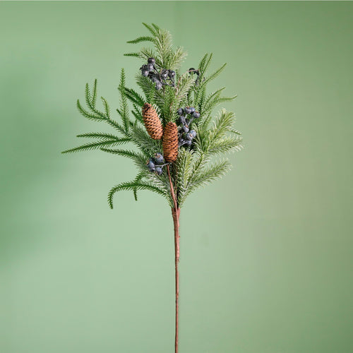 Premium Juniper Berry Pic Large (75cm)