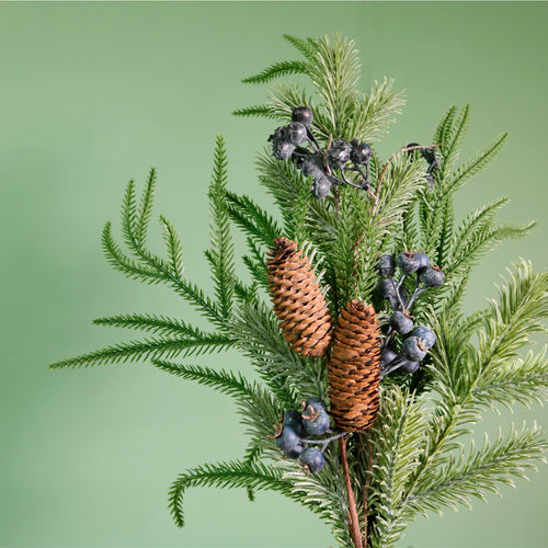 Premium Juniper Berry Pic Large (75cm)
