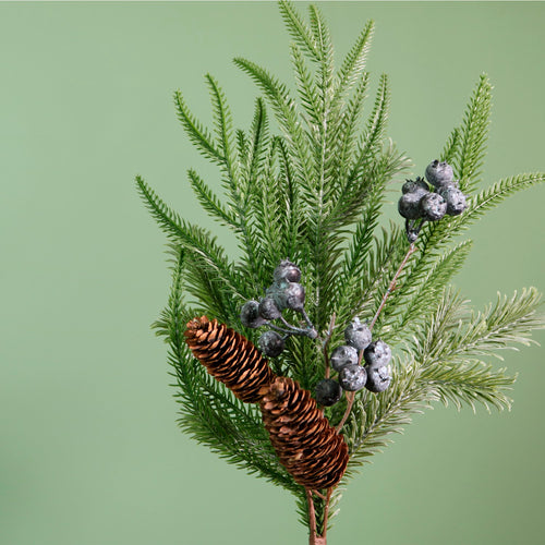 Premium Juniper Berry Medium Pic (55cm)