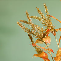 Festive Decorative Stem No.6