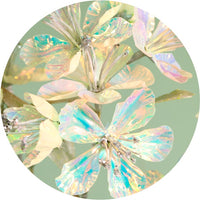 Festive Embellished Stem No.3