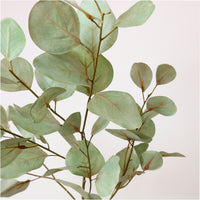 Printed Cinerea Eucalyptus Spray