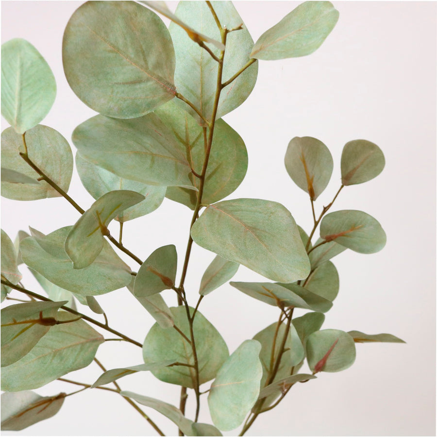 Printed Cinerea Eucalyptus Spray