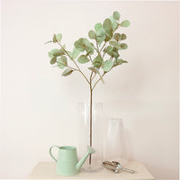 Printed Cinerea Eucalyptus Spray