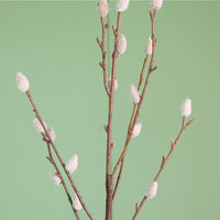 Premium Hazelwood Pussy Willow Spray