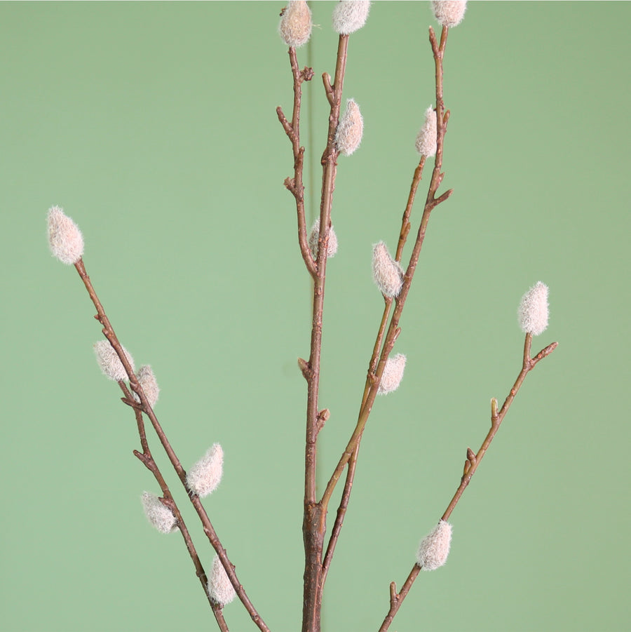 Premium Hazelwood Pussy Willow Spray