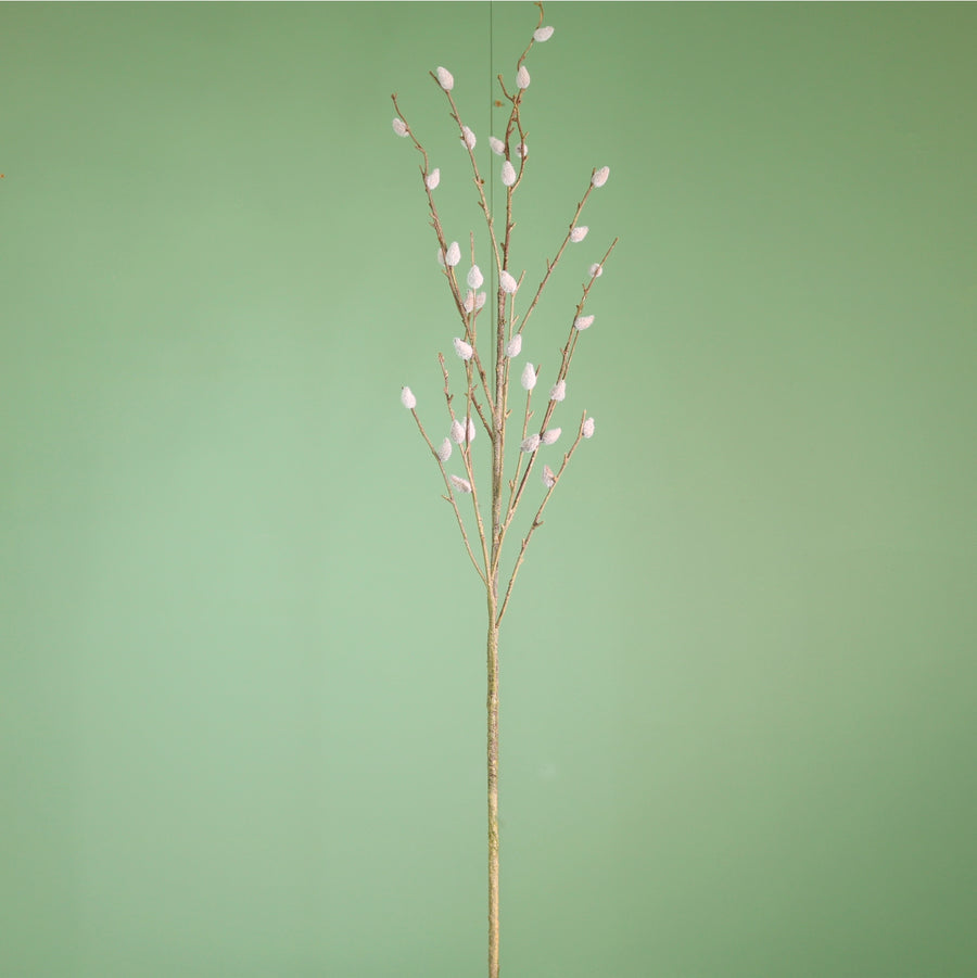 Premium Elderwood Large Pussy Willow Spray