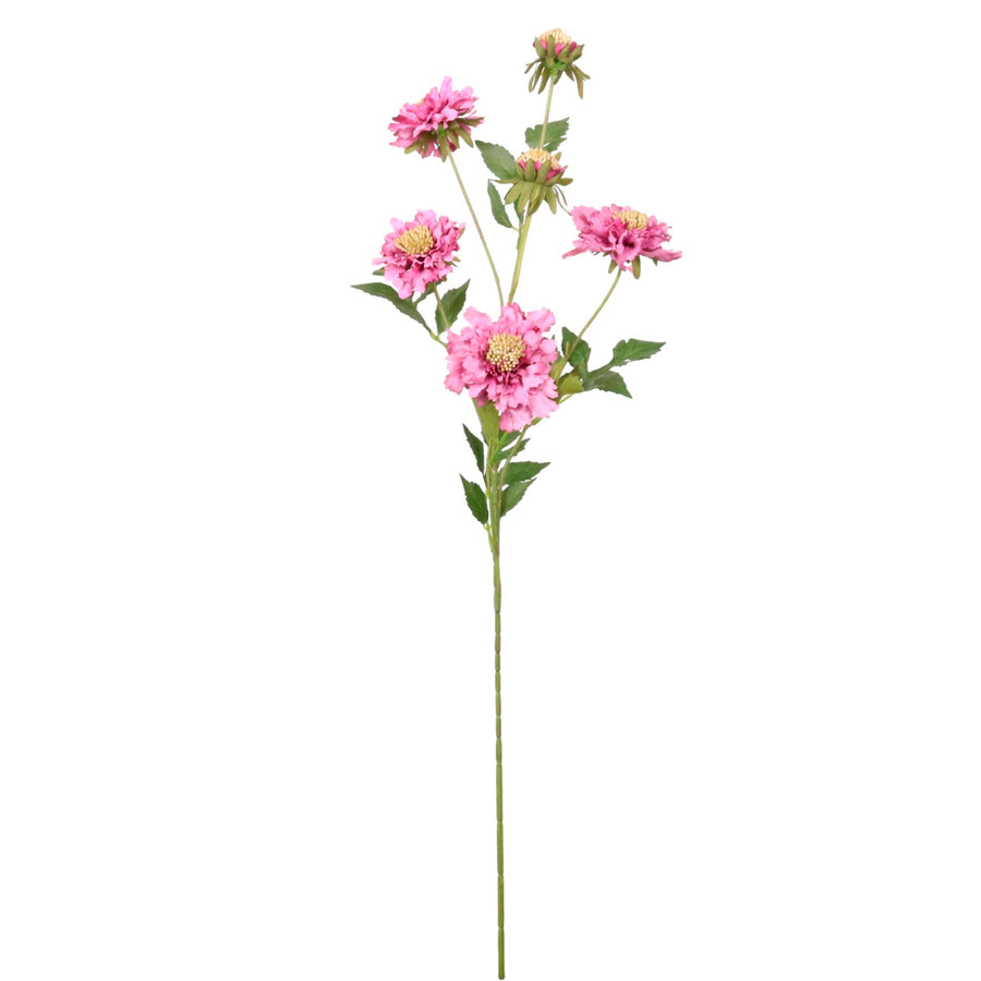 Ruffled Scabiosa Spray