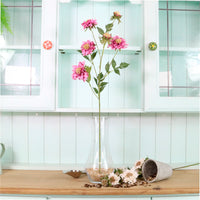 Ruffled Scabiosa Spray