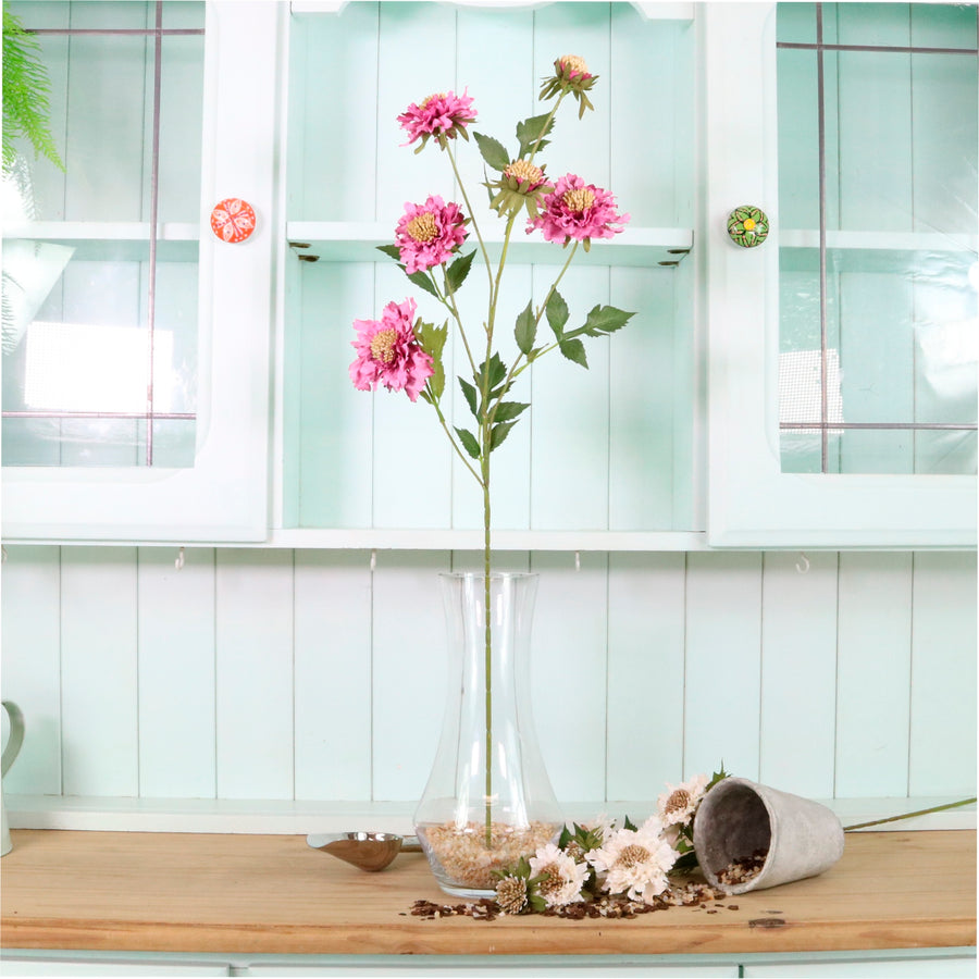 Ruffled Scabiosa Spray