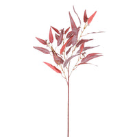 Eucalyptus Nicholii Spray