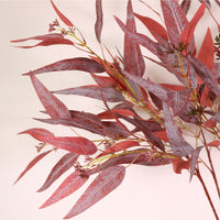 Eucalyptus Nicholii Spray