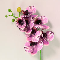 7 Head Orchid Stem