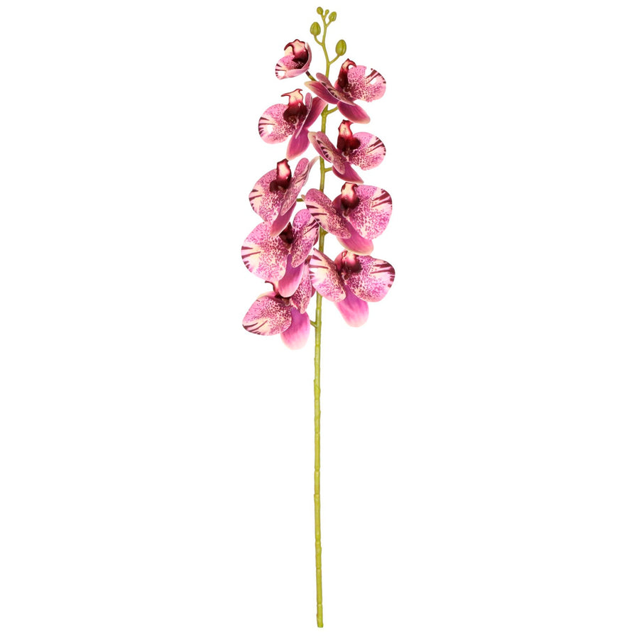9 Head Orchid Stem