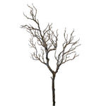 Wildwood Branch No:1