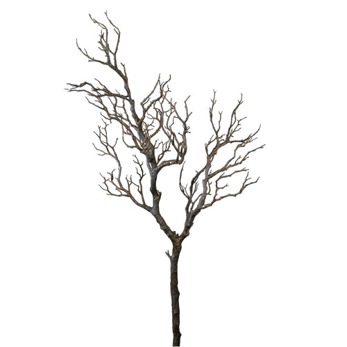 Wildwood Branch No:1