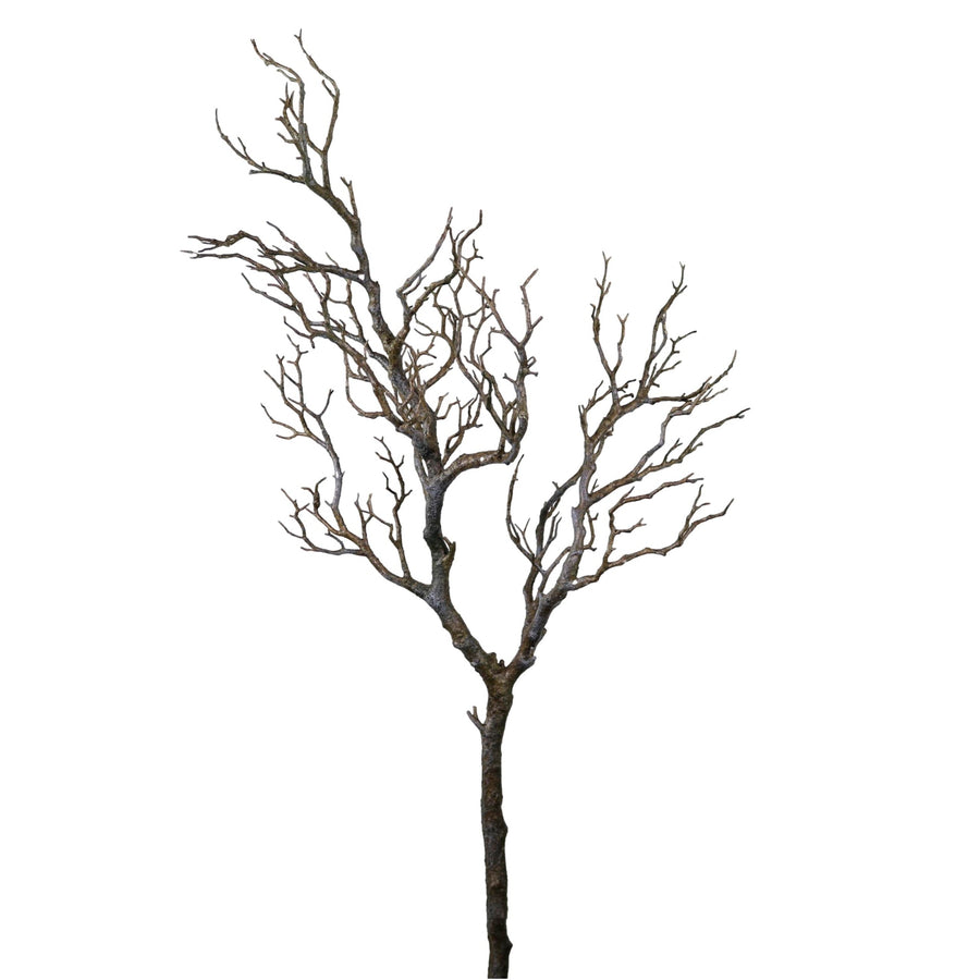 Wildwood Branch No:1