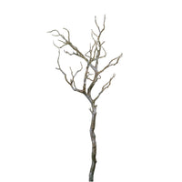 Wildwood Branch No:4