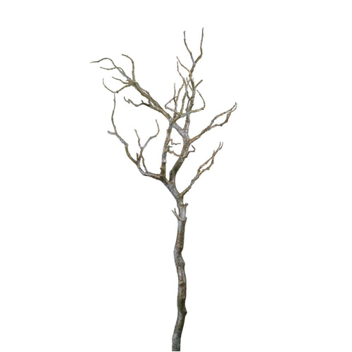 Wildwood Branch No:4