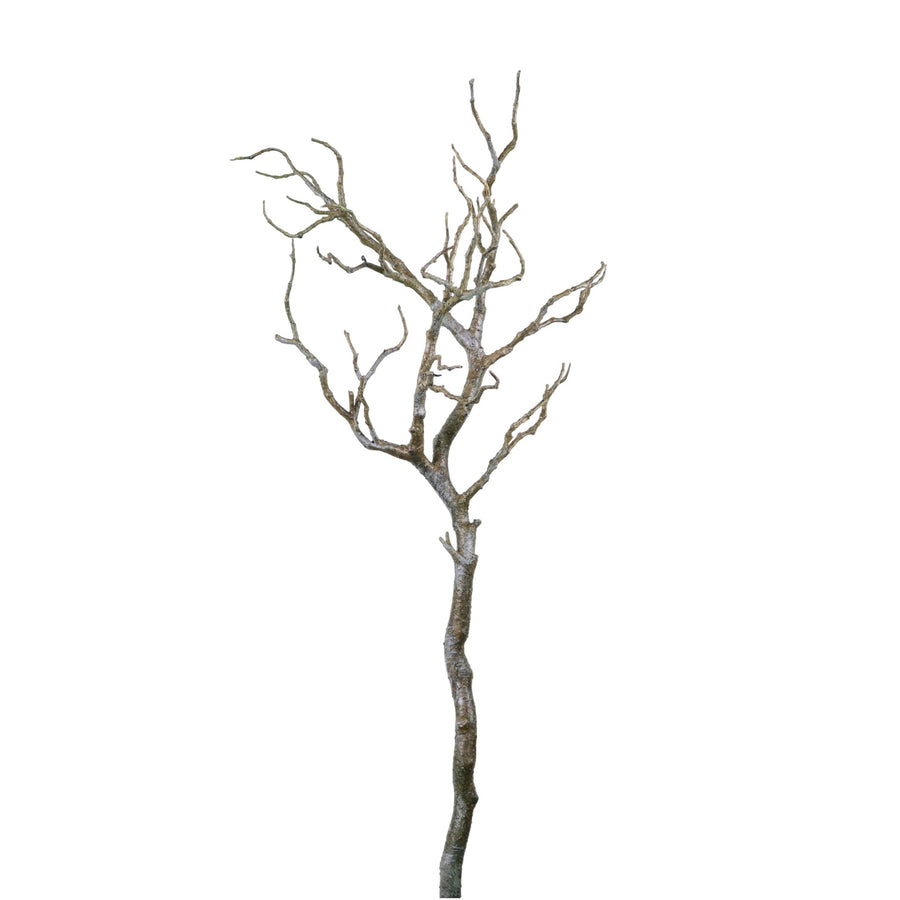 Wildwood Branch No:4