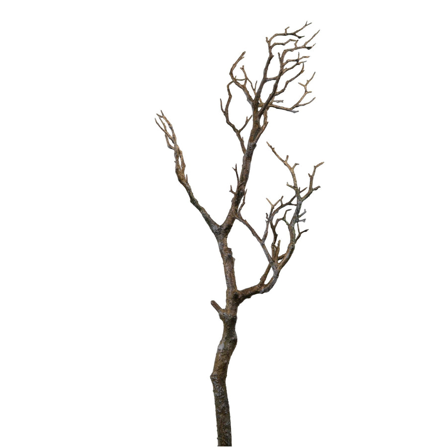 Wildwood Branch No:7