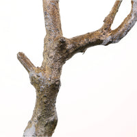 Wildwood Branch No:7