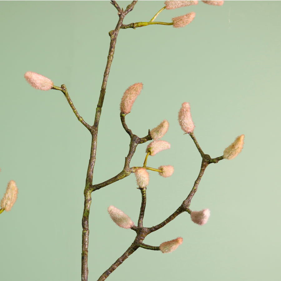 Opulent Pussy Willow Spray