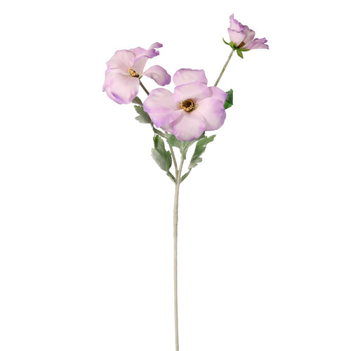 Trumpet Valentina Spray