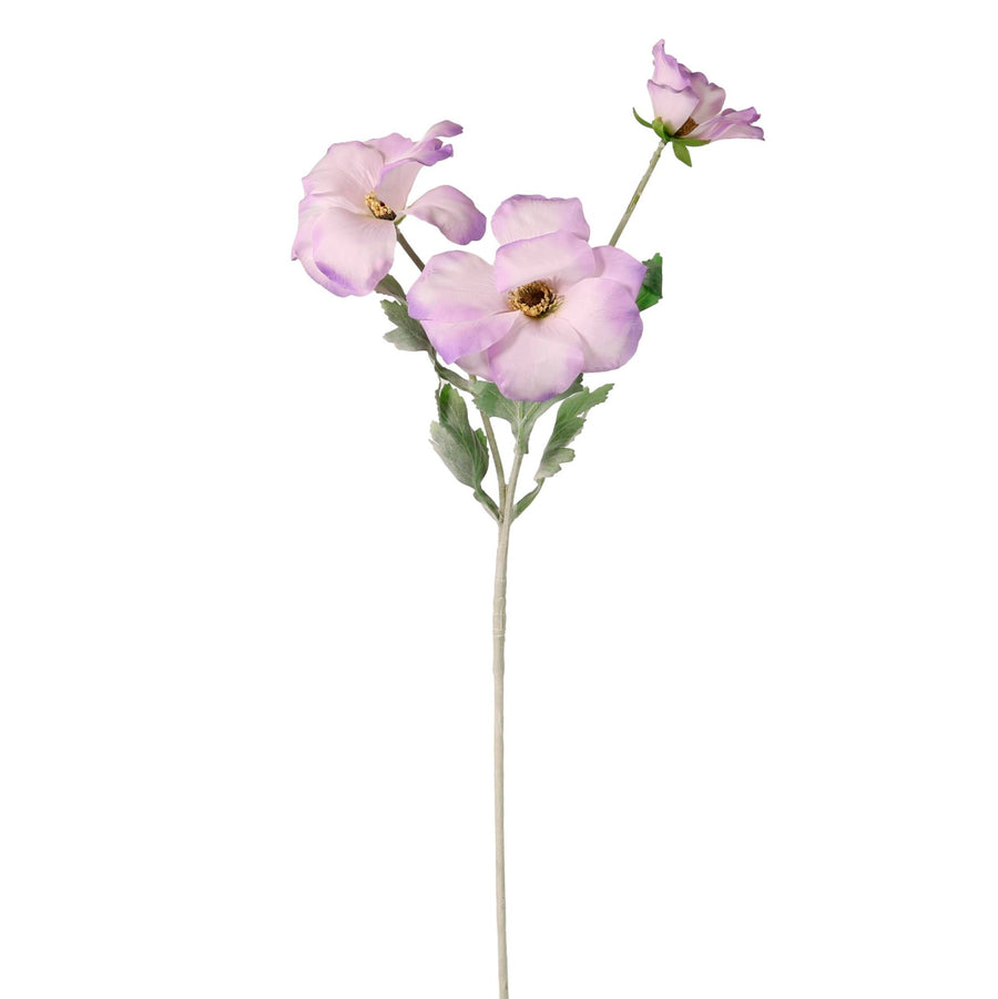 Trumpet Valentina Spray