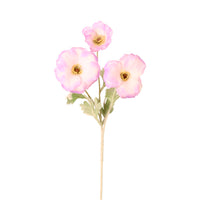 Trumpet Valentina Spray