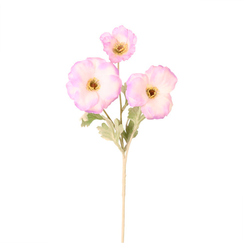 Trumpet Valentina Spray