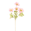 Frilly Scabiosa Spray