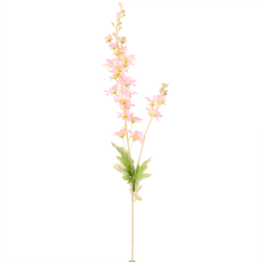 Pointed Larkspur Spray
