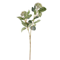 Bushy Viburnum Spray